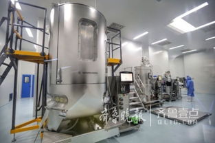 山東科技創新工程成果豐碩，生物技術研發多點開花