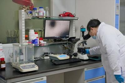 以生物造萬物 合成生物產業化提速，開啟生物技術研發新紀元